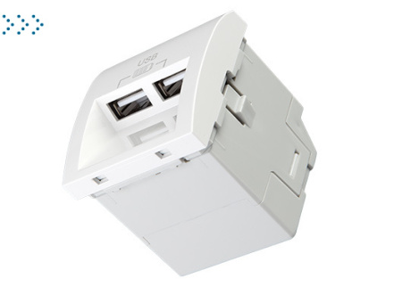 Двойная USB зарядка типа А, 20°- 2 мод, серый (45384 SIS)
